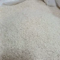 برنج هاشمی و نیمدانه هاشمی|خوردنی و آشامیدنی|رشت, پیرکلاچای|دیوار