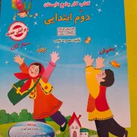 کتاب فصل میوه چینی