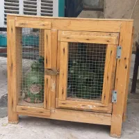 جفت کنی کبوتر و جا ابی کبوتر