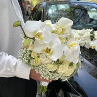 اجاره خودرو سانتافه برای ماشین عروس|خدمات پذیرایی، مراسم|اصفهان, باغ زیار|دیوار