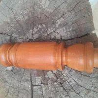 تنه عناب