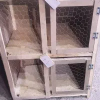 پرنده و جفت کن|پرنده|ساوه, |دیوار