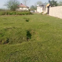 فروش زمین ۳۴۰ متری شهری گورابزرمیخ و۲۰۴مترباغ|فروش زمین و ملک کلنگی|گوراب زرمیخ, |دیوار