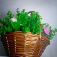 گیاه کوزله و غاز و گوله و کنیوال و سوره بنه