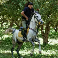 نریان یه سر مصری به رنگ نیله