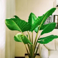 گلخونه بهار