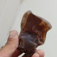 فسیل کاملا طبیعی