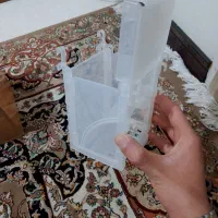 لانه پرنده|پرنده|تهران, بهمن یار|دیوار