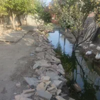 باغچه و ویلایی برا پروزش دام و طیور|اجارهٔ خانه و ویلا|ماهدشت, |دیوار