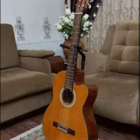 گیتار پیکاپدار .پاووچیو