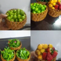 حصیری پلاستیکی|ظروف نگهدارنده، پلاستیکی، یک‌بارمصرف|خرم‌آباد, |دیوار