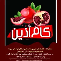 اب زرشک .آب انار .آب آلبالو. آب پرتقال|خوردنی و آشامیدنی|تهران, ترمینال جنوب|دیوار