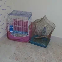 دو عدد قفس پرنده نیروی دریایی نارمک|لوازم جانبی حیوانات|تهران, نیروی دریایی|دیوار