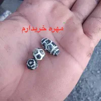 موره قدیمی گبری