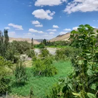 اجاره سوئیت اقامتگاه شالیزار کلات نادرروستای قاباخ
