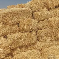 کاه بسته بندی