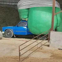 کاه
