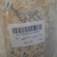 دو عدد فرش ۶متری رنگ فیلی نو تو پاکت|فرش|قم, پردیسان|دیوار