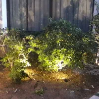 برقکاری لواسان|خدمات پیشه و مهارت|لواسان, |دیوار