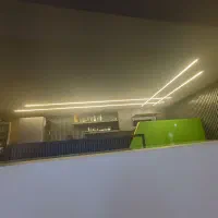 برقکار حرفه ای|خدمات پیشه و مهارت|شیراز, پارک آزادی|دیوار