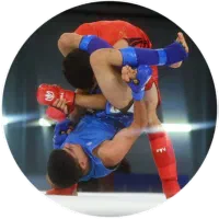 آکادمی تخصصی هنرهای رزمی