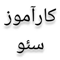 کارآموز سئو (بدون نیاز به تجربه)