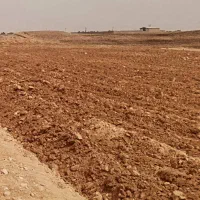 فروش زمین کشاورزی دیم