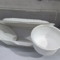 ظرف یکبار مصرف گیاهی