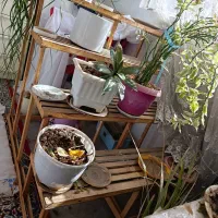 پایه گل ۴ طبقه