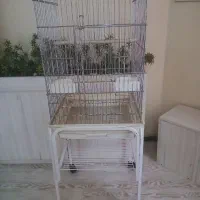قفس|لوازم جانبی حیوانات|ری, فیروزآبادی|دیوار