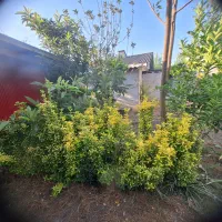 اجاره-ملک-ویلایی