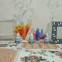 آکواریوم و زایشگاه و گل|ماهی|ملایر, |دیوار