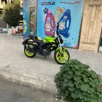 موتور سیکلت بنلی۲۵۰