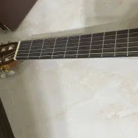 گیتار|گیتار، بیس، امپلیفایر|تهران, مهرآباد جنوبی|دیوار