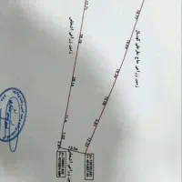 زمین با ویوی عالی در روستای عالیکلا کیاسر|فروش زمین و ملک کلنگی|کیاسر, |دیوار