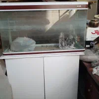 آکواریوم با لوازم و کمد زیر آن