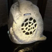 انواع اسپیکر سقفی،دیواری و آمپلی فایر - نصب رایگان|سیستم صوتی خانگی|شیراز, معالیآباد|دیوار