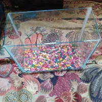 آکواریوم وفلاسک|ماهی|مشهد, رده|دیوار