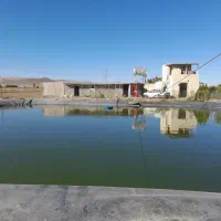 دو هکتار زمین با گلخانه نت هوس
