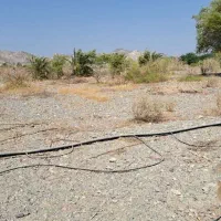 زمین باغی فروش