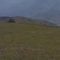 استخدام دانشجوی کشاورزی جهت کاشت درخت|استخدام صنعتی، فنی، مهندسی|کرج, باغستان|دیوار