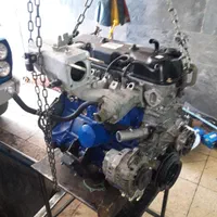 کارشناسی رنگ بدنه و فنی خودرو دهنوی-پرند|خدمات موتور و ماشین|پرند, فاز ۰|دیوار