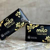 دستمال اقتصادی ۵۰۰ برگ