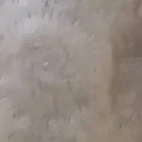 سماور زغالی(معاوضه با ملک )هم انجام میشه|کلکسیون اشیاء عتیقه|لواسان, |دیوار