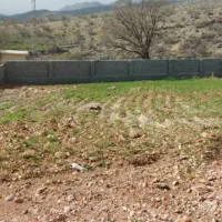 ۸۰۰ متر تنگ سریز ،پروانه دار