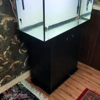 اکواریوم|ماهی|تهران, یاخجی آباد|دیوار