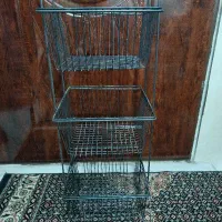 جا سیب زمینی پیاز