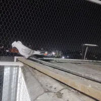 کبوتر یکت کاکلی نر|پرنده|ماهدشت, |دیوار