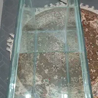 اکواریوم ،ماهی