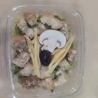 سالاد شیک و مجلسی|خدمات پذیرایی، مراسم|تبریز, |دیوار